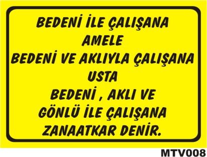 MTV008