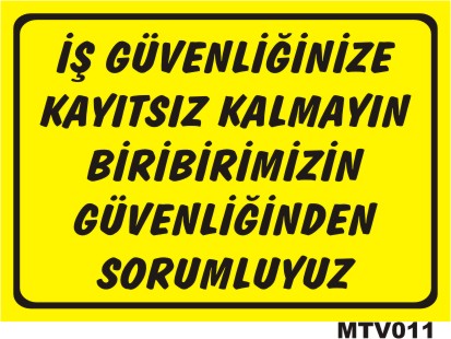 MTV011