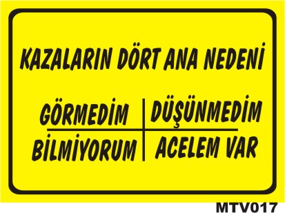 MTV017